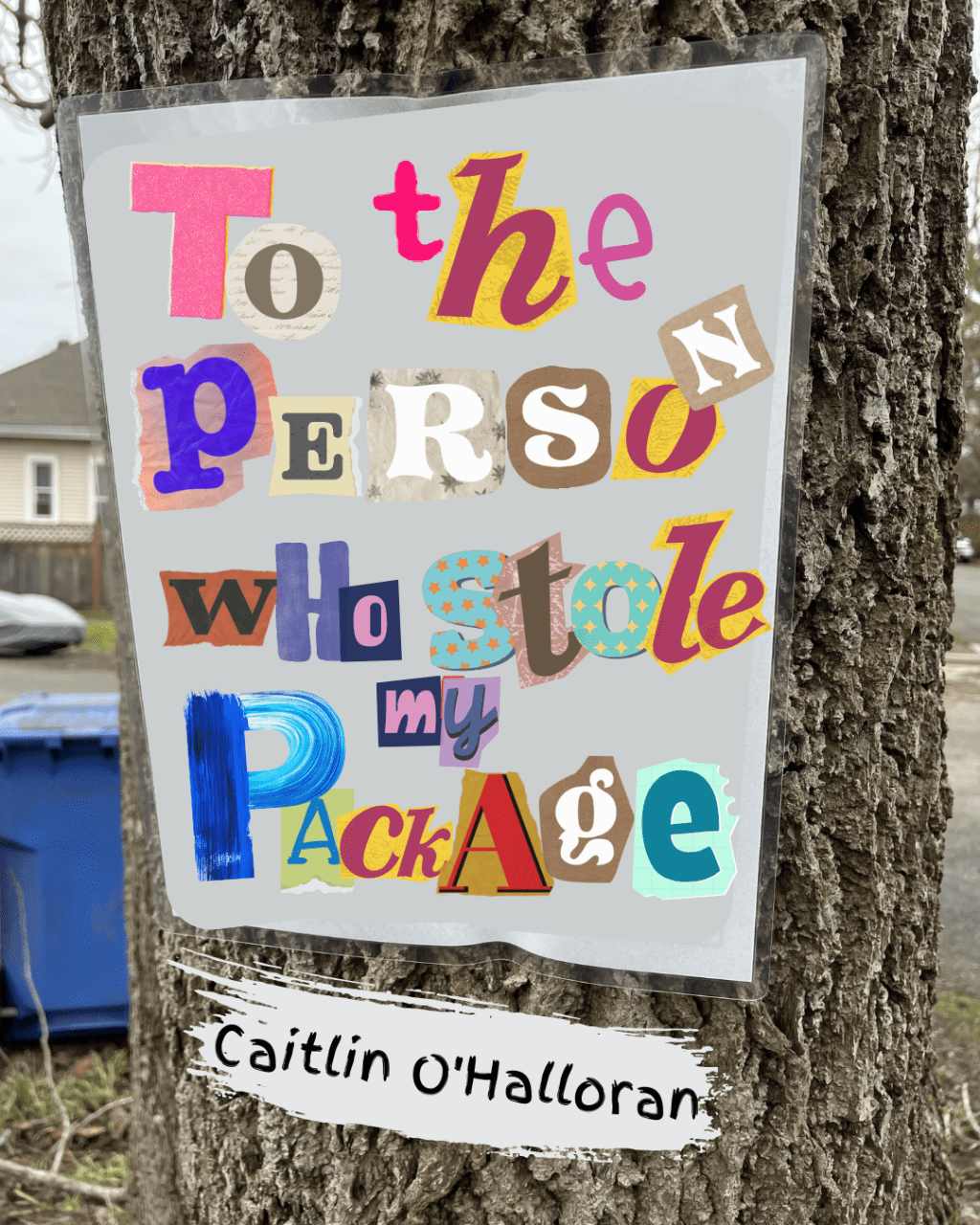 To The Person Who Stole My Package